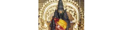 தொண்டர்கள் நயினார்